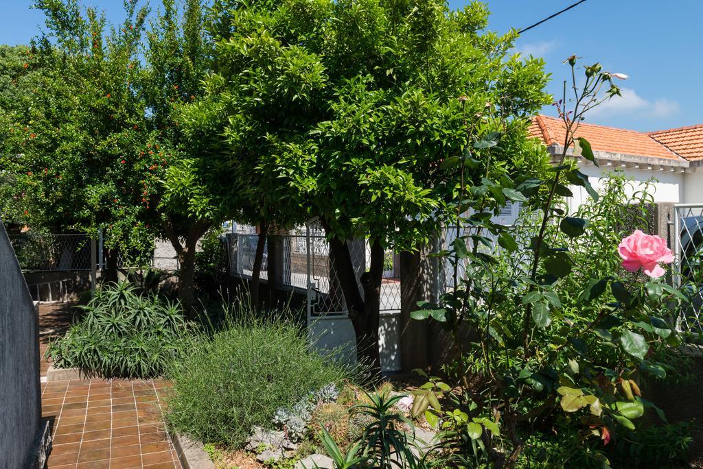 Apartment Veve Dubrovnik Kültér fotó